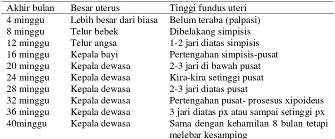 Tabel 2.1  TFU Menurut Spiegelberg 