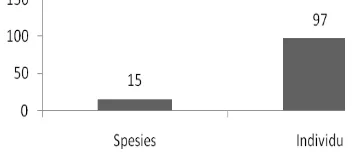Gambar 3. Grafik jumlah individu dan spesies burung pada penelitian keanekaragaman jenis burung di penangkaran rusa Tahura WAR bulan desember 2016 pada point count 2