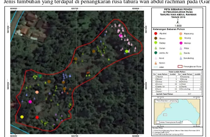 Tabel 2. Indeks keanekaragaman dan indeks kesamarataan burung pada setiap lokasi pengamatan dengan dua titik hitung pada penelitian keanekaragaman burung di penangkaran rusa Tahura Wan Abdul pada bulan desember 2016