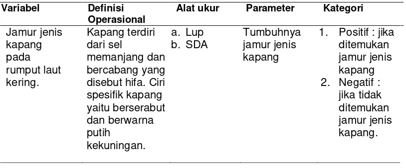 Tabel 4.1 : Definisi operasional variabel Identifikasi jamur jenis kapang pada rumput laut kering 