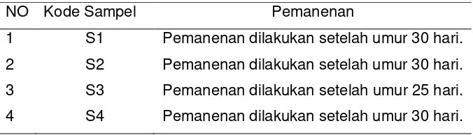 Tabel 5.1 Distribusi frekuensi berdasarkan pemanenan rumput laut kering di Kecamatan Talango 23 Juli 2018 