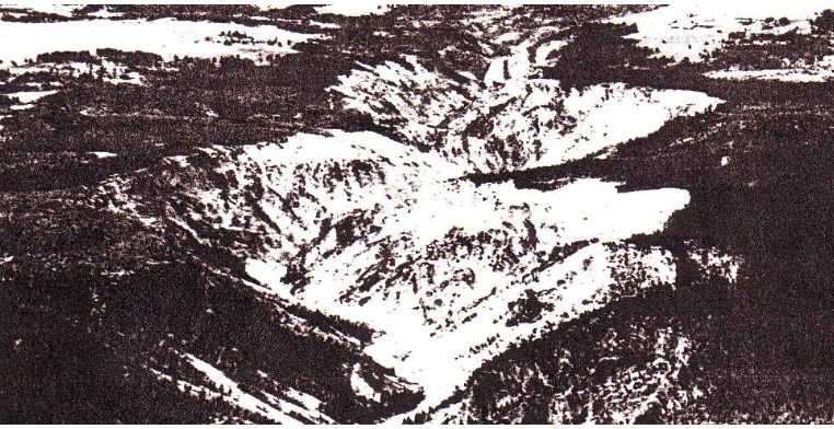 Gambar 13. Jurang besar yang ada di sekitar sungai Yellow Stone, dilihat dari atas menggambarkan jurang yang teramat dalam menghiasi permukaan tanah dari lava Plateau