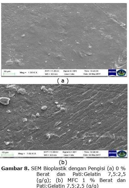 Gambar 8. SEM Bioplastik dengan Pengisi (a) 0 % Berat dan Pati:Gelatin 7,5:2,5 