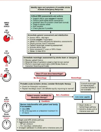 Gambar 2.1 Suspected Stroke Algorithma, (AHA, 2014 dikutip siskaningrum, 2018). 