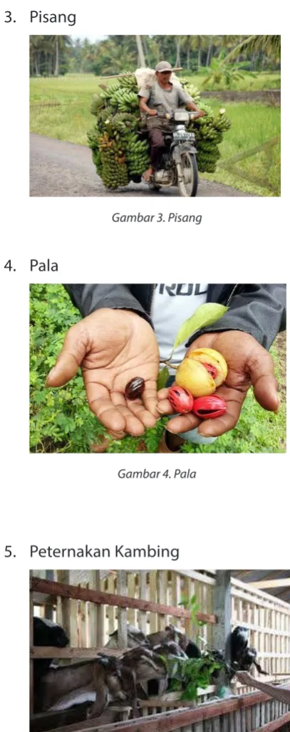 Gambar 3. Pisang