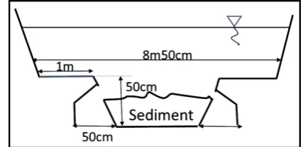 Fig. 1 Cross-section of the Ooe drainage channel at 