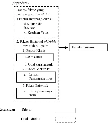 Gambar 3.1 .Kerangka konseptual penelitian tentang Analisa Faktor-faktor Terhadap Kejadian Phlebitis Pada Pasien Yang Mendapatkan Terapi Cairan Intravena di Ruang Melati Rumah Sakit Umum Daerah  Bangil