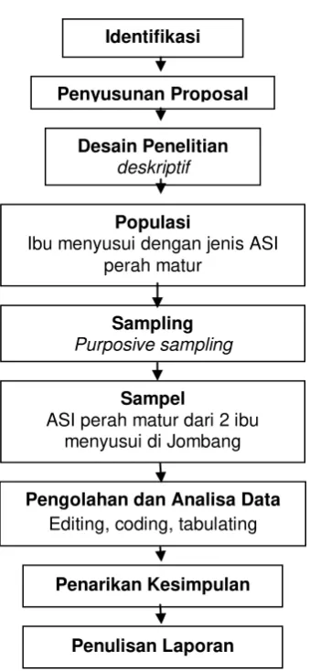 Gambar 4.1 Kerangka Kerja (Frame Work) 
