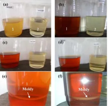 Fig. 1. The qualitity of Gambier extract (1) and modiﬁed Gambier (2) in the room temperature at (a) First day, (b) 7 days, (c) 14 days, (d) 25 days, (e) 14 days (drawn closer), and (f)25 days (drawn closer).