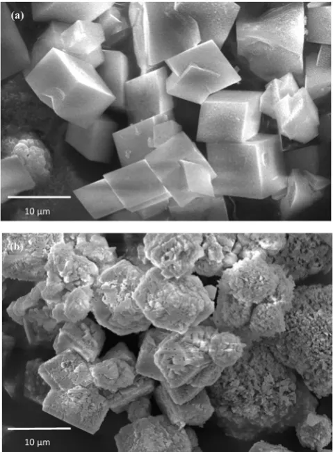 Fig. 8. Particle size distribution of CaCO3 crystals in the absence of inhibitor and in thepresence of 300 ppm of inhibitor at the growth solution concentration of 0.1 M.