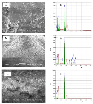 Fig. 3: (a) Nitrogen adsorption-desorption isotherms and (b) pore size distribution of Cd(II)-IIPb