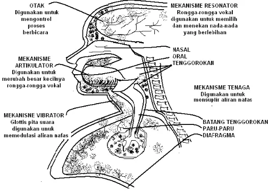 Gambar Alat Pendukung Vokal