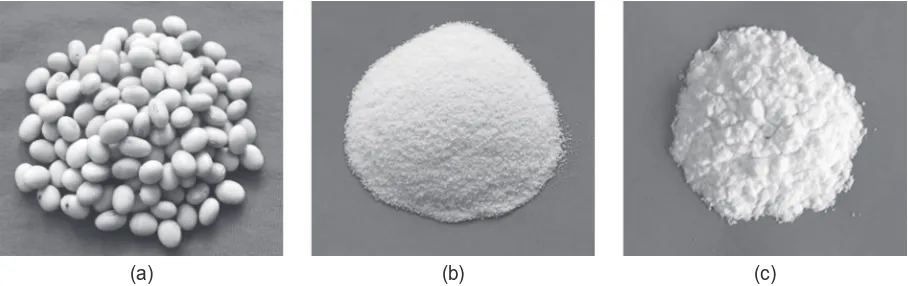 Figure 1. (a) soybeans var. Grobogan, (b) the isolated protein powder of (a), and (c) whey protein isolate.173