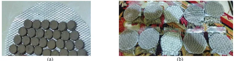 FIGURE 1. (a) Zeolite/coal-fly ash pellets and (b) the pellet filters. 