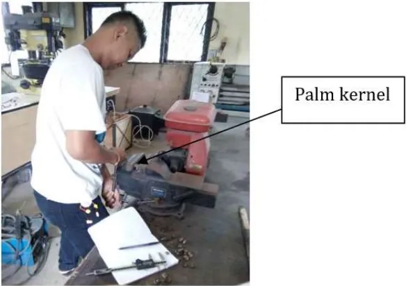 Fig. 6. cracking of oil palm seed manually  