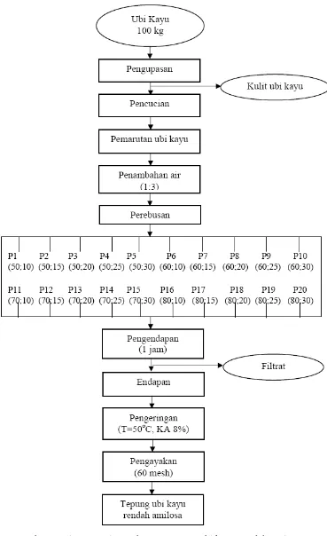 Gambar 1. Diagram alir pembuatan tepung ubi kayu rendah amilosa 