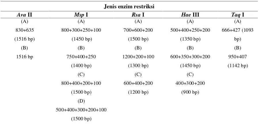 Tabel 2. Tipe digesti dan ukuran fragmen mtDNA COI udang galah yang direstriksi dengan