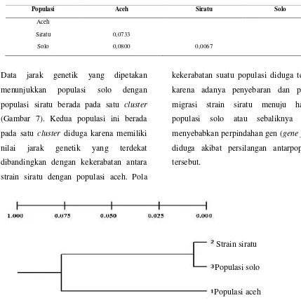 Tabel 7. Jarak genetik mtDNA 16S rDNA 3 varietas udang galah (M. rosenbergii)