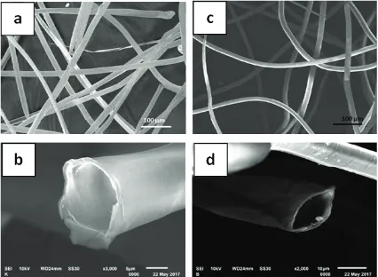 Fig. 2. SEM images of the kapok fiber (a and b) andbalsa fiber (c and d).
