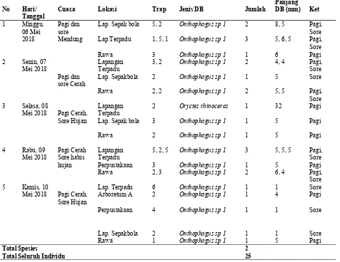 Tabel 1. Hasil Spesies Dung Beetle yang teramati selama 5 hari