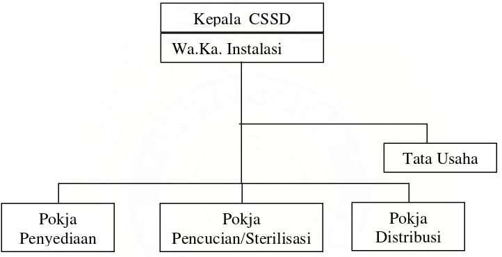 Gambar 2. Struktur Organisasi Instalasi 3.4  Instalasi Gas Medis CENTRAL STERILIZED SUPPLY DEPARTMENT                      (CSSD)