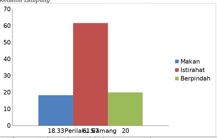 Figure 10. Kedaton LampungAnalyze activity on daily behavior of Siamang at Taman Wisata Bumi Kedaton Lampung