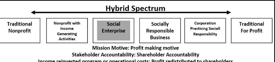 Figure 1. Typology of Social Entrepreneurs