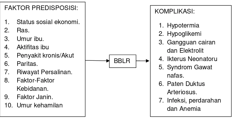 Gambar 2.3 Kerangka Teori.11