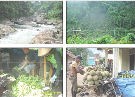 Gambar 3.2 Sungai Way Sabu, Gunung Betung dan hasil kebun Dusun Margo 