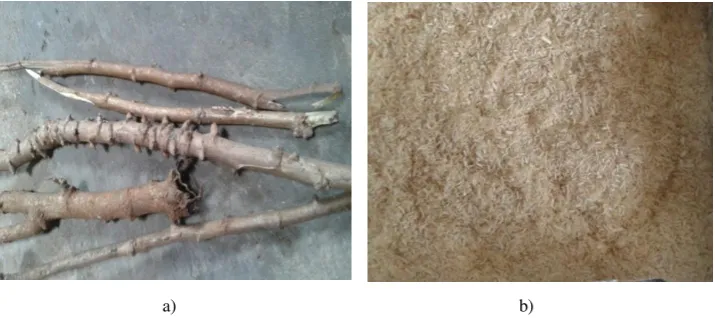 Figure 1 .Cassava stems : (a) Raw material, (b) after size reduction  