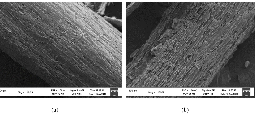 Figure 5. SEM images of raw (a) and treated (b) cassava stems at 3% H3PO4