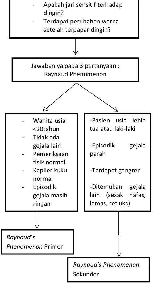 Tabel 2. Kriteria Diagnosis RP berdasarkangejala klinis5