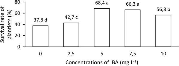 Fig. 2.  Effects of IBA concentrations on number of roots. Means followed by same letters do not differ according to LSD0.05