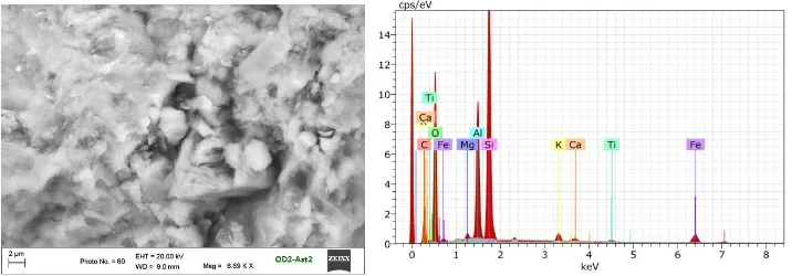 Figure 6. SEM analysis on clay shale (OD2-Ast2) 