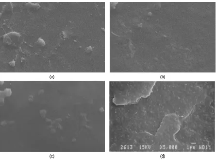 FIGURE 7. Morphology of bioplastic produced (addition 0.5 g filler and 10% plasticizer) from SEM on 500x magnification (a), 1000x magnification (b), 5000x magnification (c) and commercial HDPE as its comparison (d)