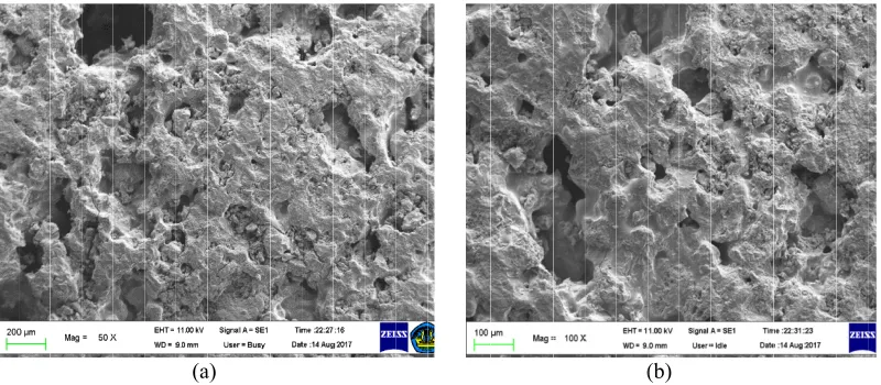 TABLE 1TABLE 1TABLE 1BET specific surface area BET specific surface area .  Textural properties of activated sludgeBET specific surface area 