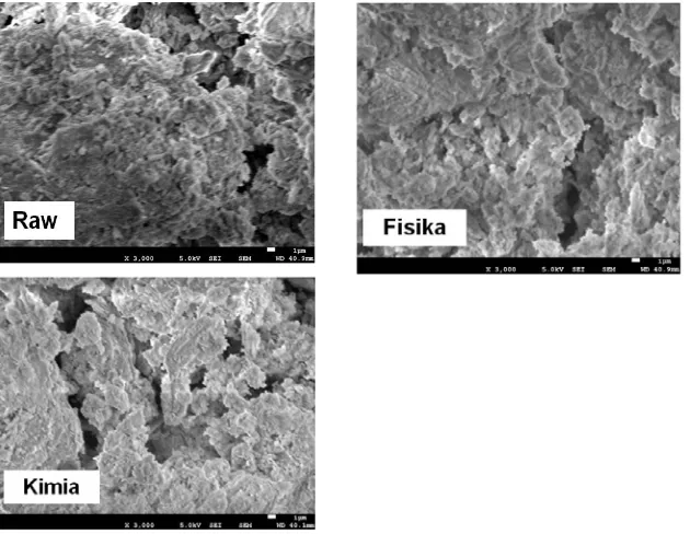 Figure 5.  SEM Photo of Lampung zeolite in various activation process.  
