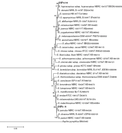Figure 6. Phylogenetic tree of 16S rDNA sequences for actinomycetes strain GGF2-i5 and GGF4-i18 were generated by the Neighbor-Joining method using MEGA6 (Tamura et al