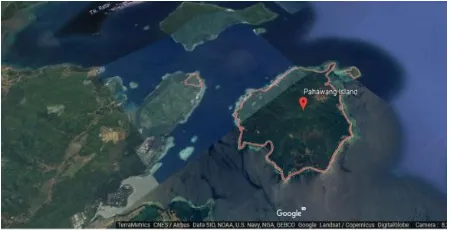 Gambar 1. Lokasi pengamatan, Pulau Pahawang Besar. 