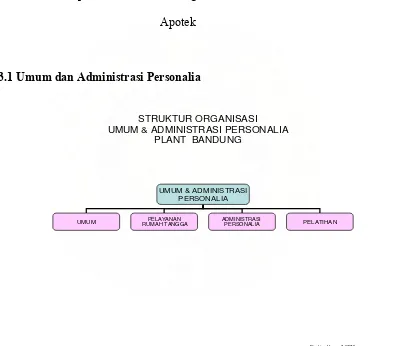 Gambar 3.1 Struktur Organisasi Umum & Administrasi Personalia Plant Bandung 