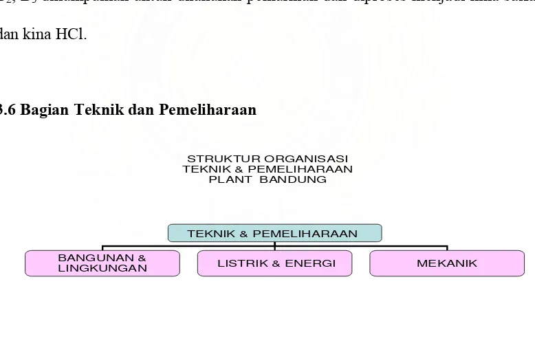 Gambar 3.16 Struktur Organisasi Bagian Tehnik dan Pemeliharaan Plant Bandung 