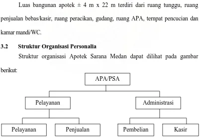 Gambar 1. Struktur Organisasi Apotek Sarana Medan 