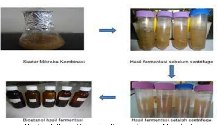Gambar 4. Proses Fermentasi Bioetanol dengan Mikroba Asosiasi 