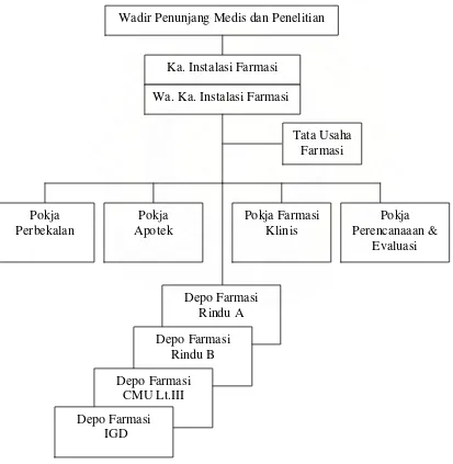 Gambar 3.1. Struktur Organisasi Instalasi Farmasi RSUP H. Adam Malik 