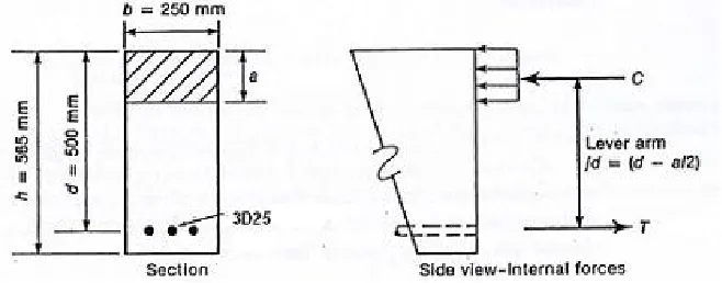 Gambar III.10. Contoh Kasus 1