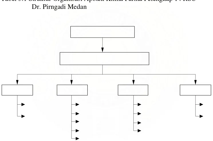 Tabel 3.1 Struktur Organisasi Apotek Kimia Farma Pelengkap 14 RSU              