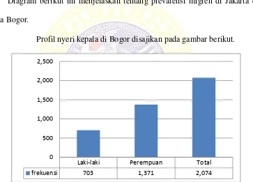 Gambar 2.1  Jumlah Pasien Nyeri Kepala di Kota Bogor (Perdossi, 2006) 