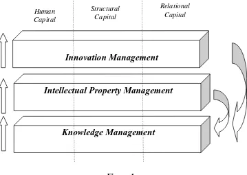 Figure 1  Image of Management Model andIntellectual Capital