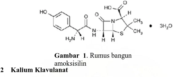 Gambar  1. Rumus bangun amoksisilin 