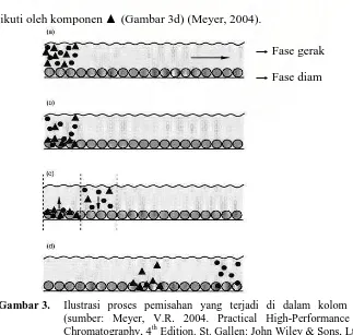 Gambar 3. Ilustrasi proses pemisahan yang terjadi di dalam kolom KCKT. (sumber: Meyer, V.R